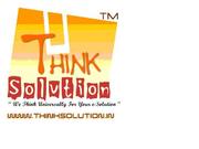 WEB DESIGN, CUSTOM SOFTWARE DEVELOPMENT, WEB HOSTING&DOMAIN (IT COMPANY)