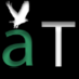 Outsourcing Web Development Company India offers web services