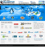 Unlimited web hosting provider