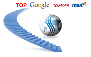 eXamoney SEO Service ***