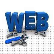 Bharat Info Service Web Designing 