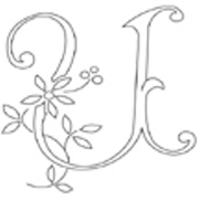 UDAIPUR BUZZ -Mega Web Design Collection 