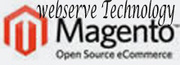 eCommerce development in Vadodara Gujarat India by webservetechnology
