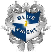 Blue Knight Software Solutions- Quality & affordable website designers
