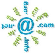 Domain Name & Web Hosting Service 