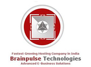 SEO Services Company India - Brainpulse Technologies Pvt. Ltd. 