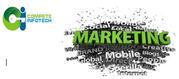 Earn More with Internet Marketing Consulting Service