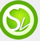 SEO And Web Designing Services Chandigarh Panchkula Ambala