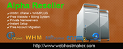 The Cheapest Business Website Hosting 