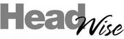 Online Paid Advertising 