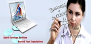 Get Professional Website Development,  Designing and SEO in Chandigarh