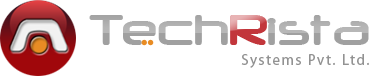 Exclusive Web Related Solutions From TechRista 