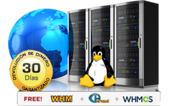 ssl fast web hosting