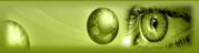 Outsourcing in India IT Software Development