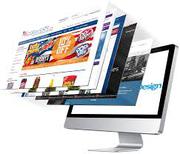 Aldiablos Infotech Pvt Ltd - allocate expense for it company