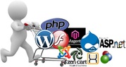 Website Design and Development Services