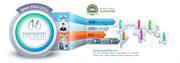 Web Design India