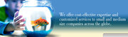 Web Design India Professional Efforts