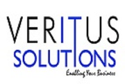 Veritus Solutions - Best Web Design Company