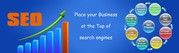 Best Website Promoters in delhi, 	 Best Website Promoters in India, 	 Ch