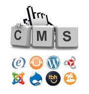 ecommerce ,  shopping cart and themes development