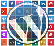 WordPress Social Icon Plugin
