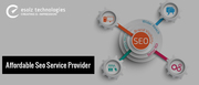 An SEO Services Company for the Sake of Your Website