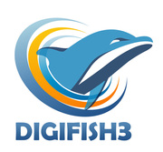 Web development Company in India