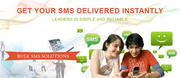 Bulk SMS Gateway-The Vital Marketing and Campaigning Tool