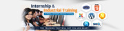 6 months Industrial Training Mohali
