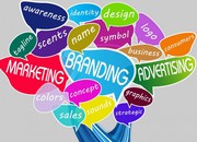 Web designing and development services 