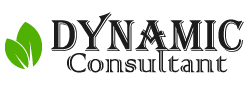 SEO India Company | SEO Service India