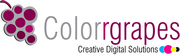  Web Designing Service