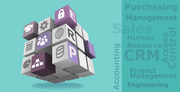 Sap Consulting and Implementation 