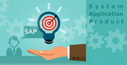 Hire sap consultant services @Empersol