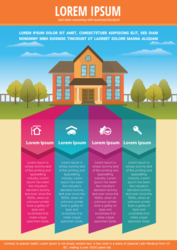 High quality Infographic design