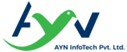 AYN InfoTech | Enterprise IT Solutions | Digital Marketing Solutions