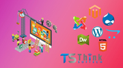 Website Design & Development