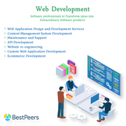 Bestpeers Infosystem-Top Custom Software Development Company Indore