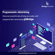 iBridge Techsoft | Digital Marketing | Web Development | Consulting