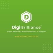 Digi Brilliance Digital Marketing and Branding Company.