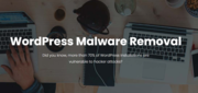 Protect your WordPress website from viruses