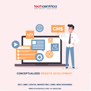 Get conceptualized website by Web Development Company