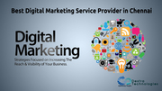 Digital Marketing Company in Delhi NCR
