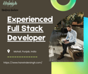  Freelance Full Stack Developer India    