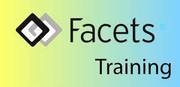 Best Facets Online Training|Facets Training