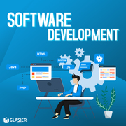 custom software development companies in India