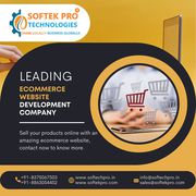 Ecommerce Website Design in Delhi