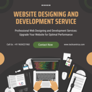 Website Designing Agency in Noida