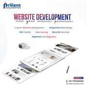 Website Design and development Services.